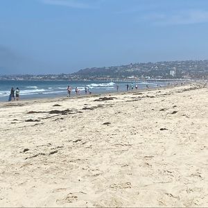 Meet your Posher, Paul